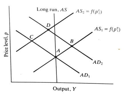 Aggregate supply and demand with price expectations