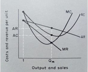 Costs and revenue for price makers