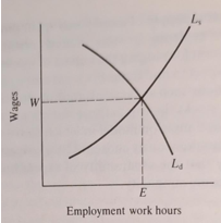 Labour market equilibrium