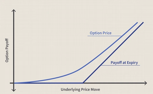 Option Payoff Structure