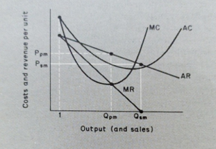 Sales maximisation by a price maker