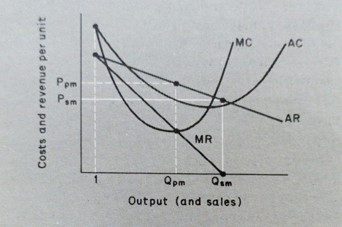 Sales maximization by a price maker