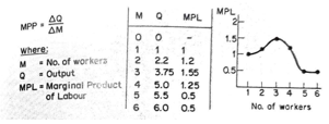 calculating the marginal product of labor