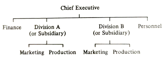 company organized on more complex lines