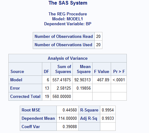 the sas system